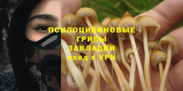 ешки Армянск