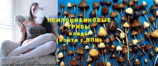 ешки Армянск
