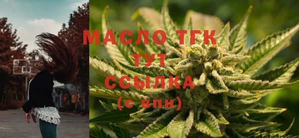 прущий лед Арсеньев