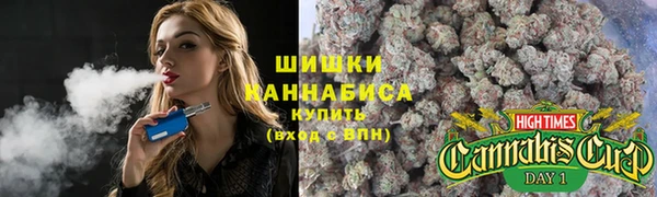 гашик Аркадак