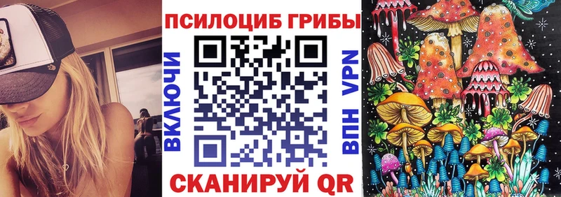 что такое   Лысково  Псилоцибиновые грибы Cubensis 